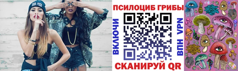 где найти   Красноармейск  Псилоцибиновые грибы MAGIC MUSHROOMS 